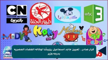 قرار صادر.. تعيين ماجد إسماعيل رئيسًا لوكالة الفضاء المصرية بدرجة وزير